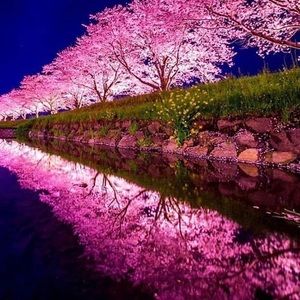 Meet your Posher, Talesia